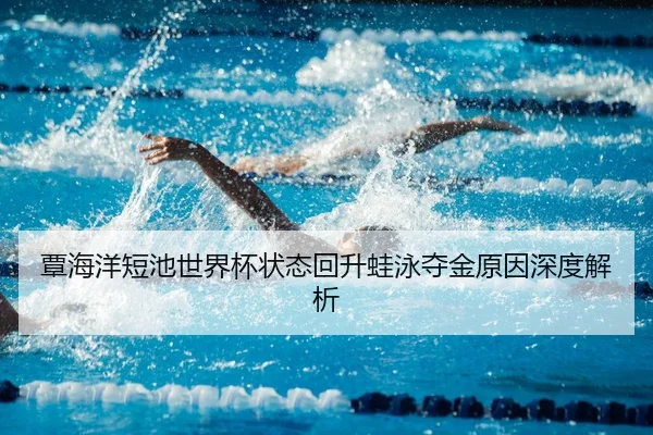 覃海洋短池世界杯状态回升蛙泳夺金原因深度解析